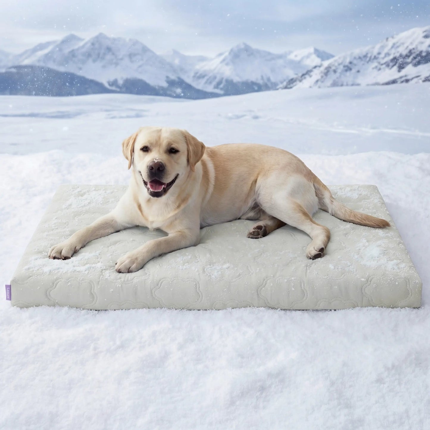 Bedsure Cooling Thin & Thick Mat for Dogs – Q-MAX>0.4 Washable Pet Cooling Pad, No Gel, No Electric, Non-Slip Summer Crate Bed for Large Dogs