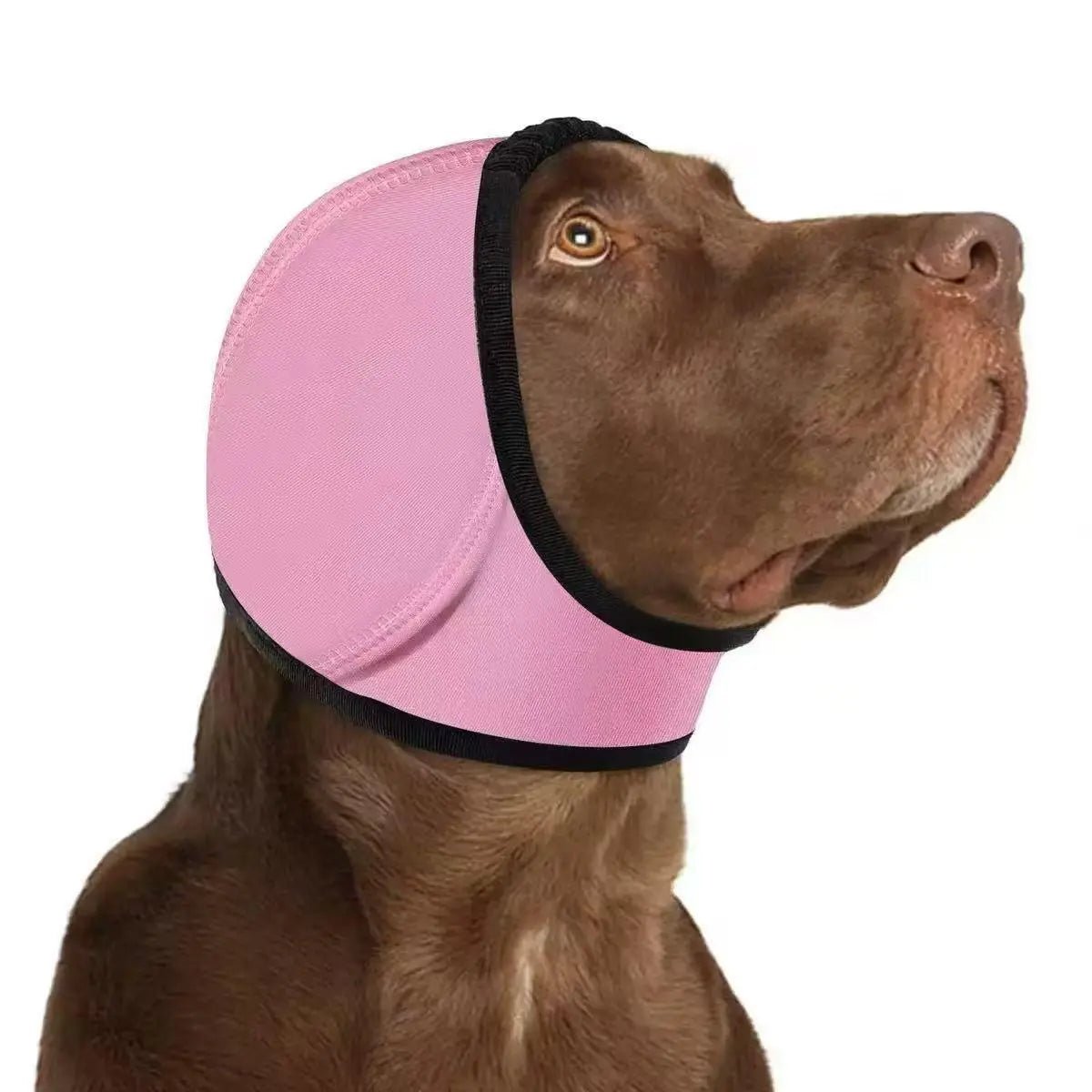 Comfortable 1-Piece Water-Resistant Dog Hoodie Wrap - Keeps Ears Dry, Ear Protection for Swimming, Blow Drying, Noise Reduction for Fireworks, Grey, Grooming, Bathing